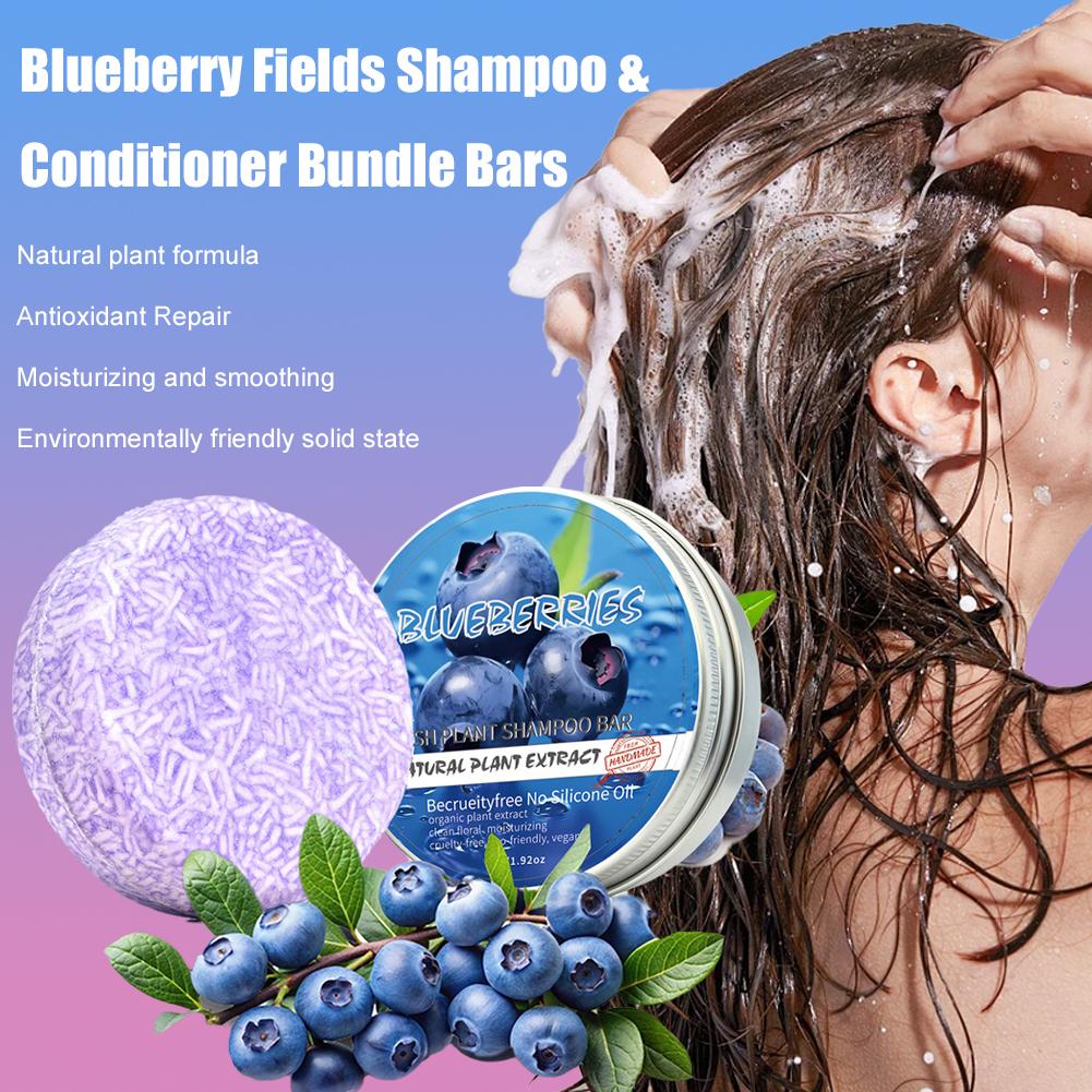 Sabun Sampo Blueberry Sabun Sa - Hair Care Tonic ulasan dan harga